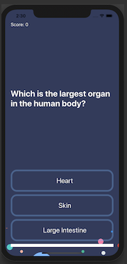 Photo Quizz